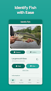 Fish Ace  Screenshot 1