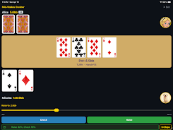 Alice and Friends Learn Poker Screenshot 9