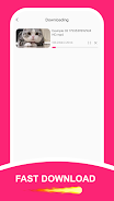 FT Video Downloader Screenshot 2