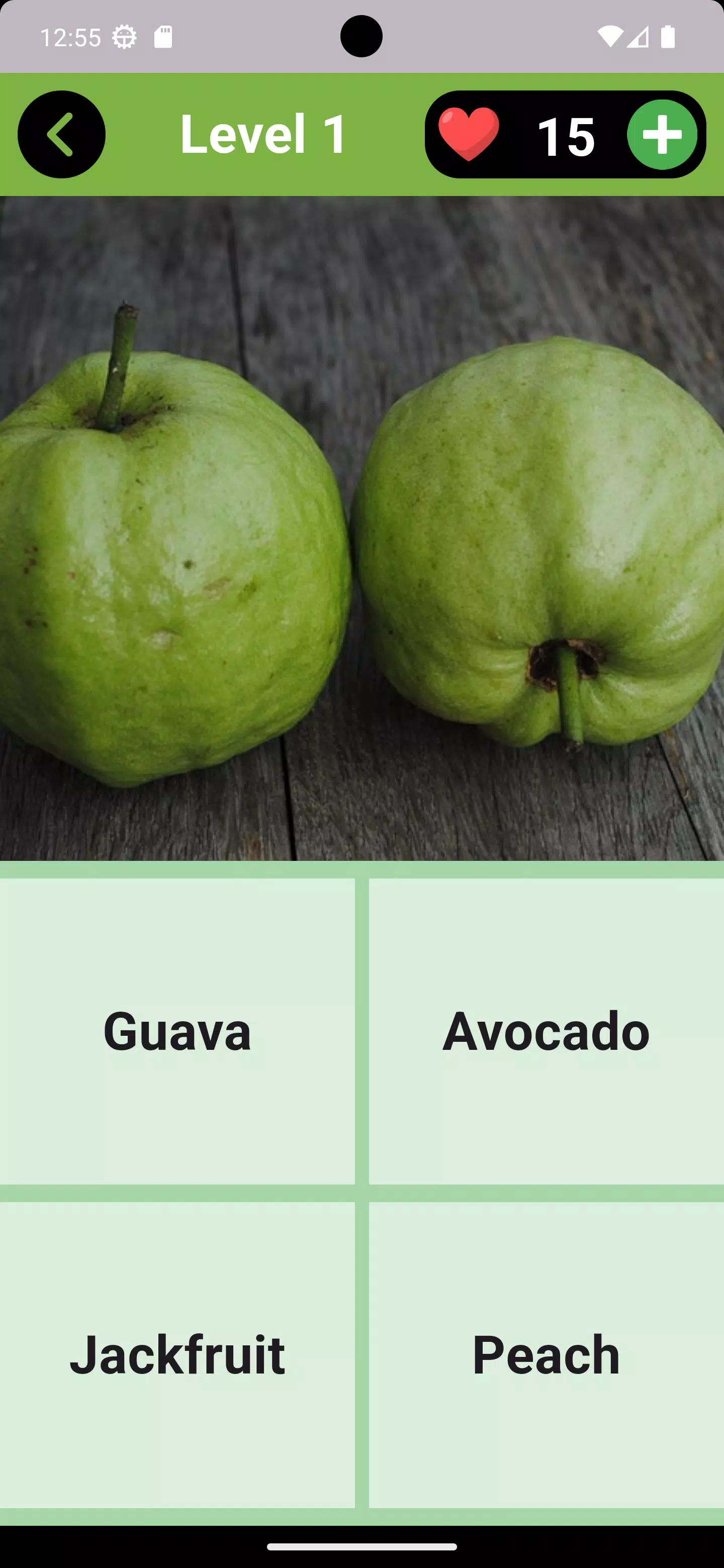 Fruits Quiz - Learn Fruit Name  Screenshot 1