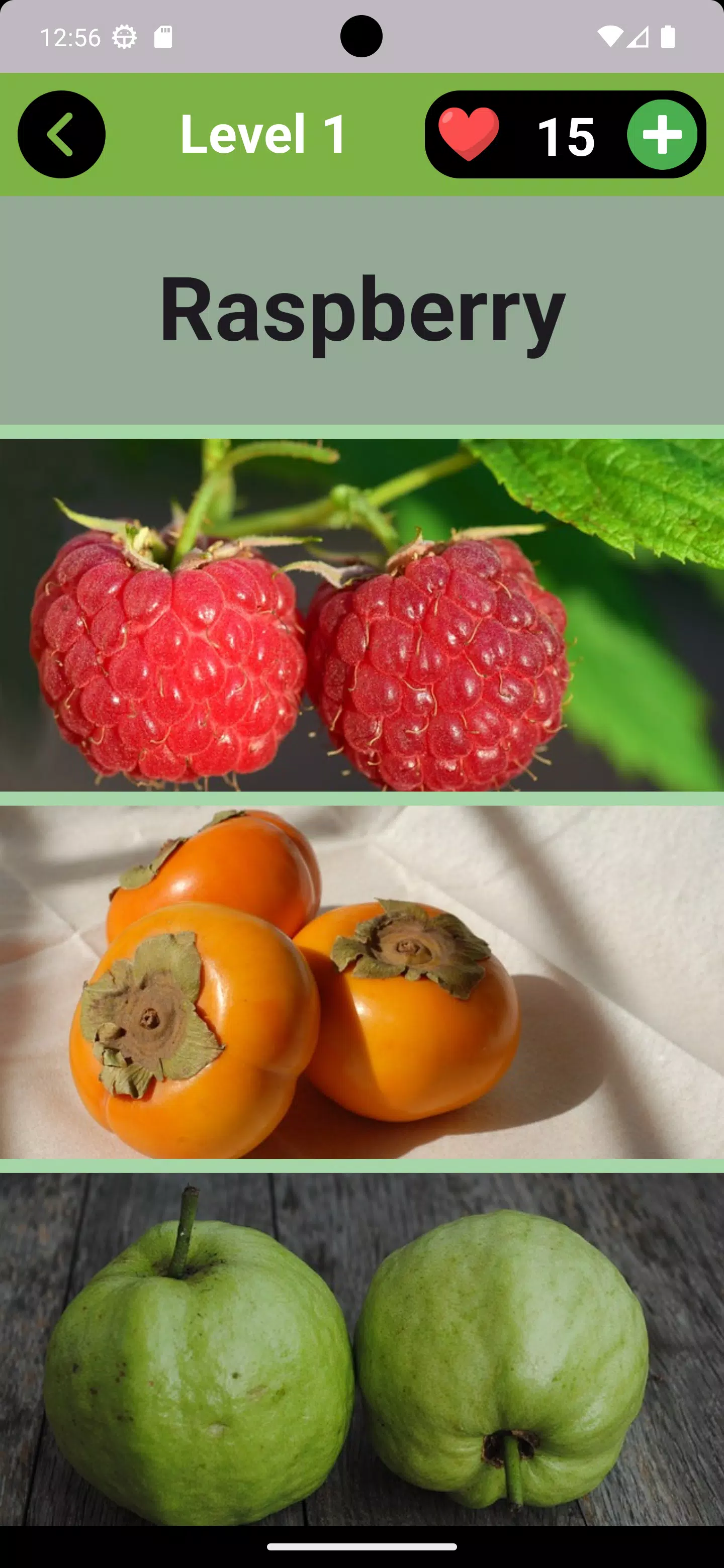 Fruits Quiz - Learn Fruit Name  Screenshot 2