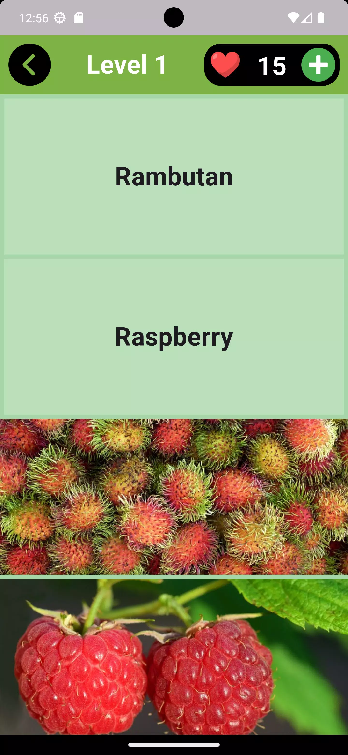 Fruits Quiz - Learn Fruit Name  Screenshot 3