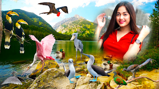 Beautiful Birds  Screenshot 5
