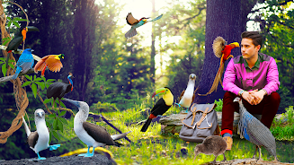 Beautiful Birds  Screenshot 2