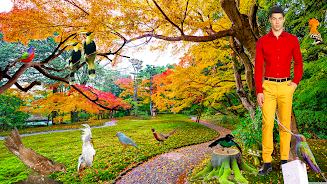 Beautiful Birds  Screenshot 3