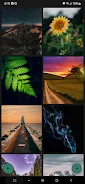 Wallpapers for Samsung Screenshot 2