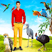 Beautiful Birds APK