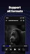 Flex Media Player Screenshot 4