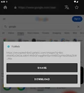 YizWeb Screenshot 8