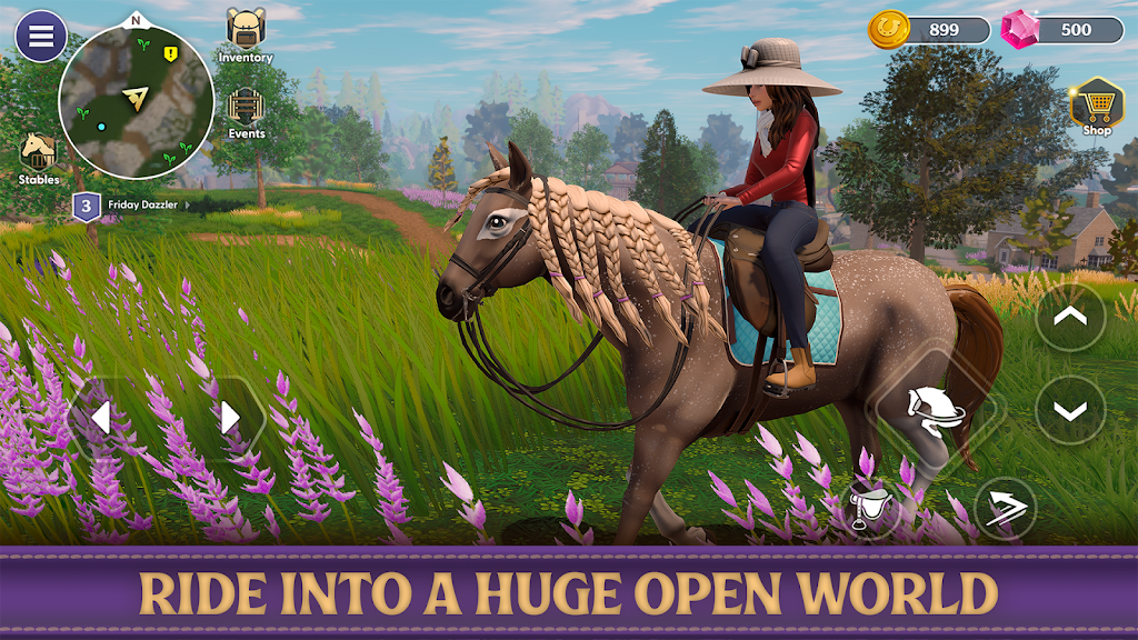 Star Equestrian Screenshot 32