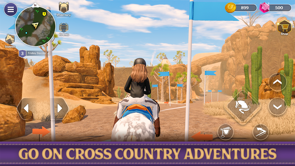 Star Equestrian Screenshot 6