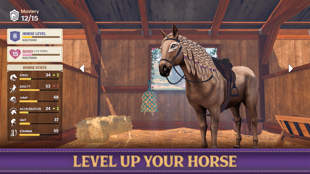 Star Equestrian Screenshot 13