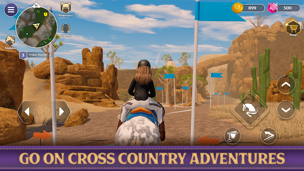 Star Equestrian Screenshot 30