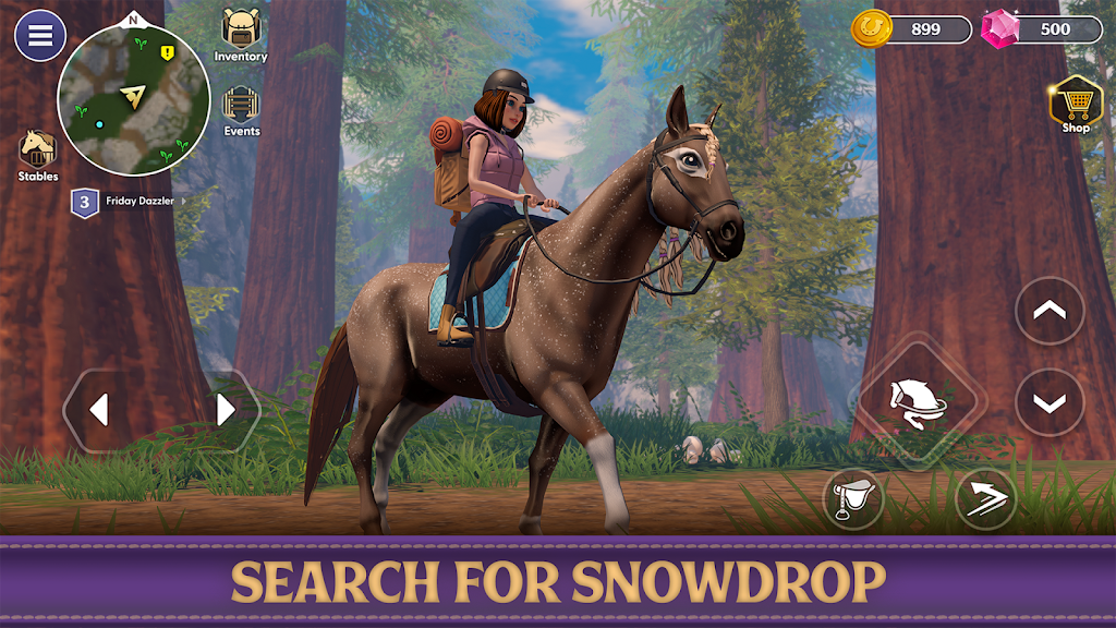 Star Equestrian Screenshot 27