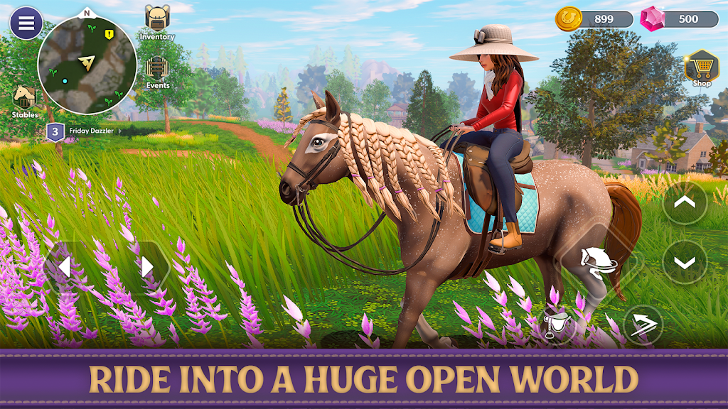 Star Equestrian Screenshot 8