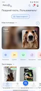 PetsID  Screenshot 2