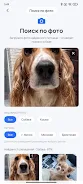 PetsID  Screenshot 6