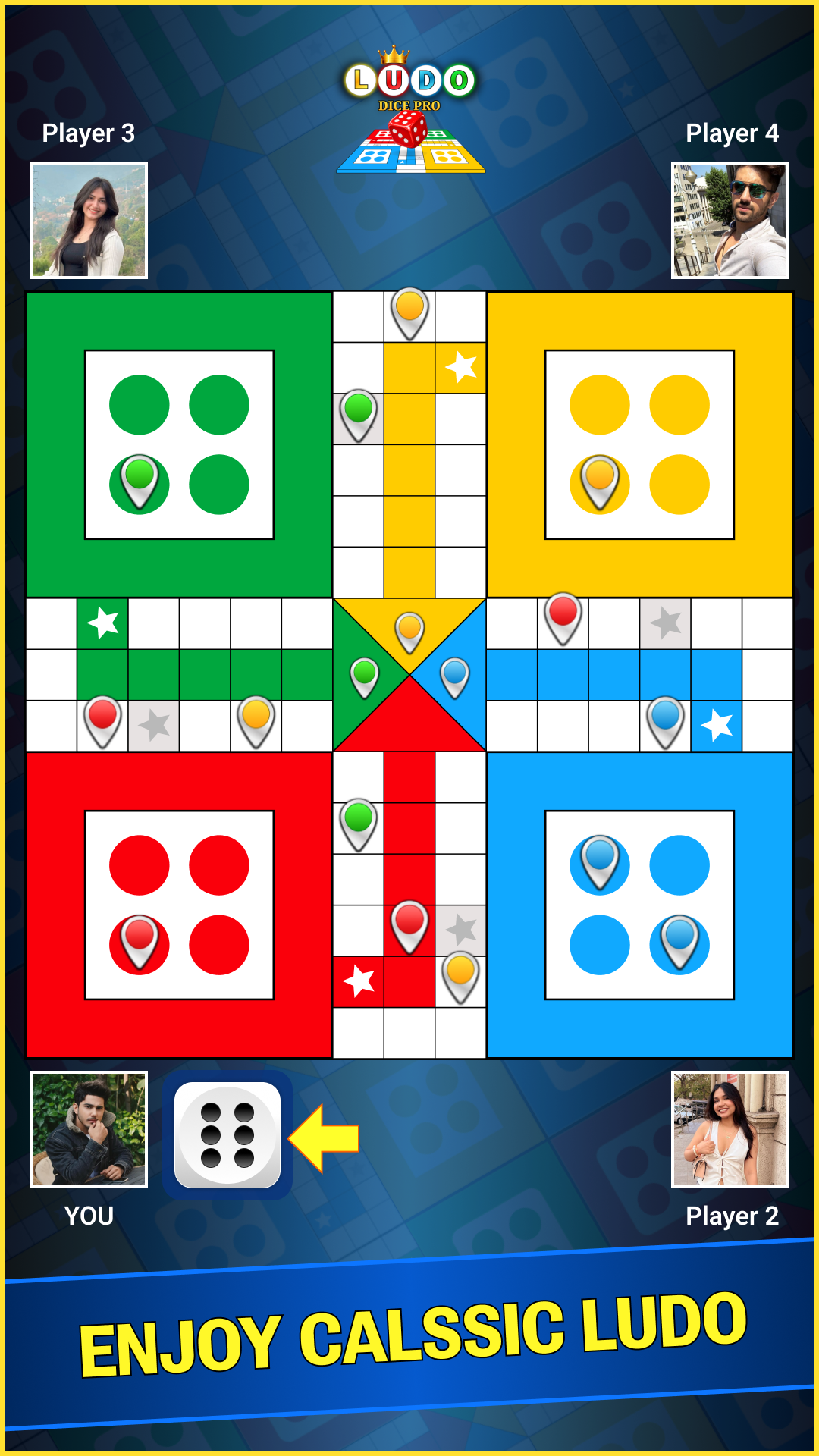 Ludo Dice Pro Screenshot 7