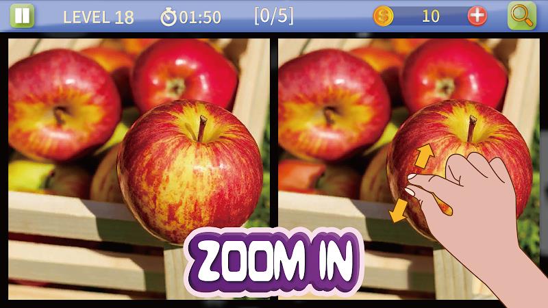 Find & Spot The Differences  Screenshot 4