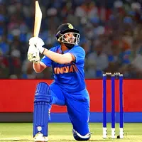 Ultimate Cricket Games APK
