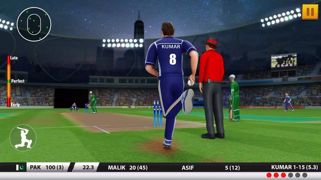 Ultimate Cricket Games Screenshot 2