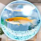 まったりメダカ育成ゲーム APK