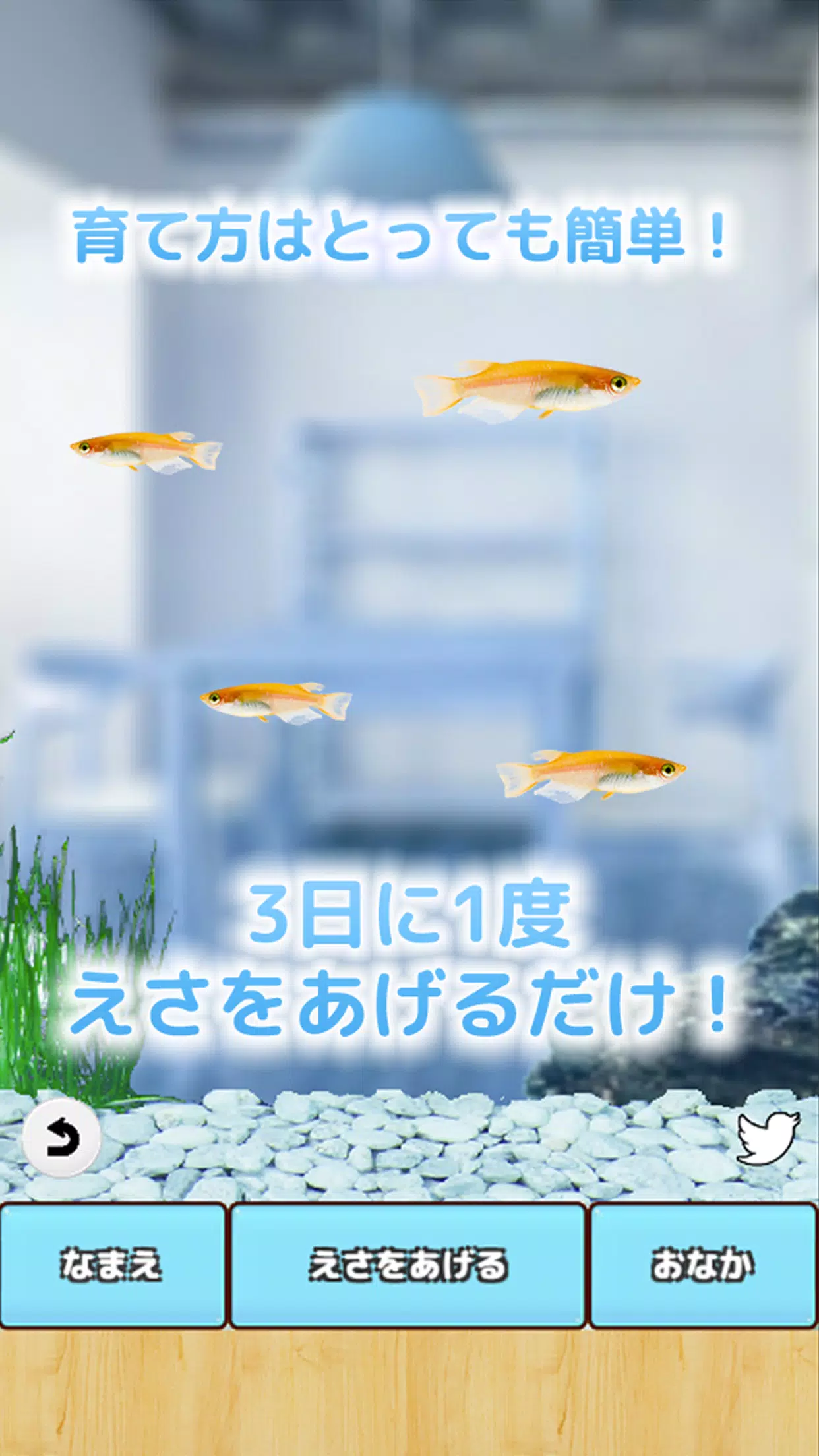 まったりメダカ育成ゲーム Screenshot 6