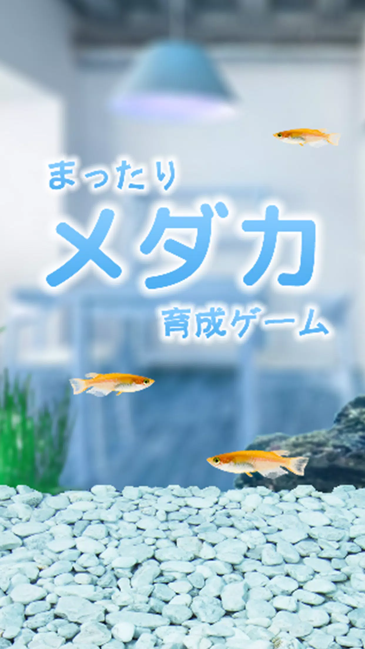 まったりメダカ育成ゲーム Screenshot 5