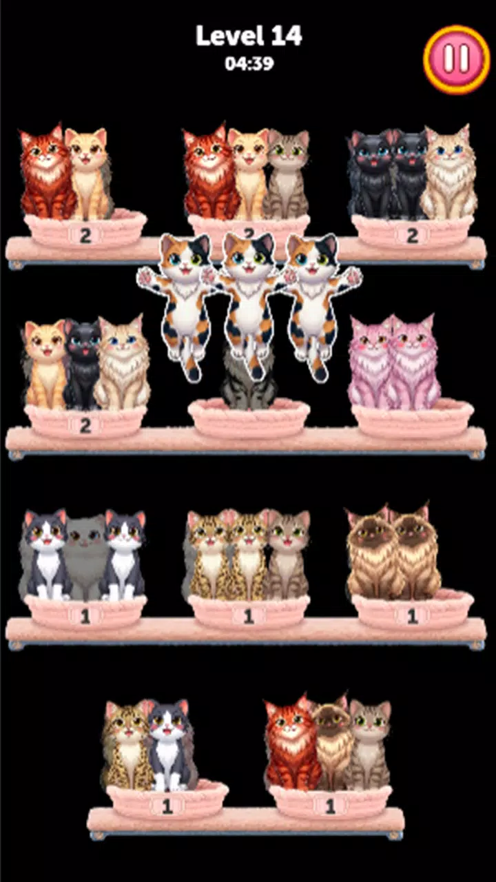My Cat Sort:Pet Puzzle Screenshot 5