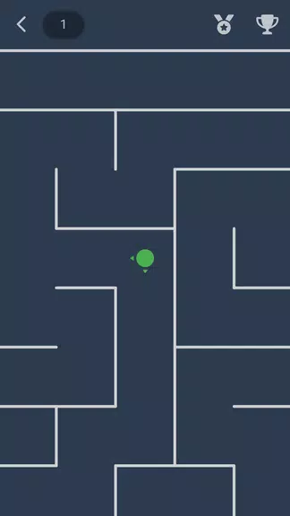 Maze Screenshot 4