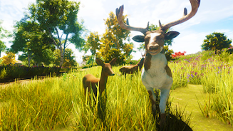 The Goat Screenshot 1
