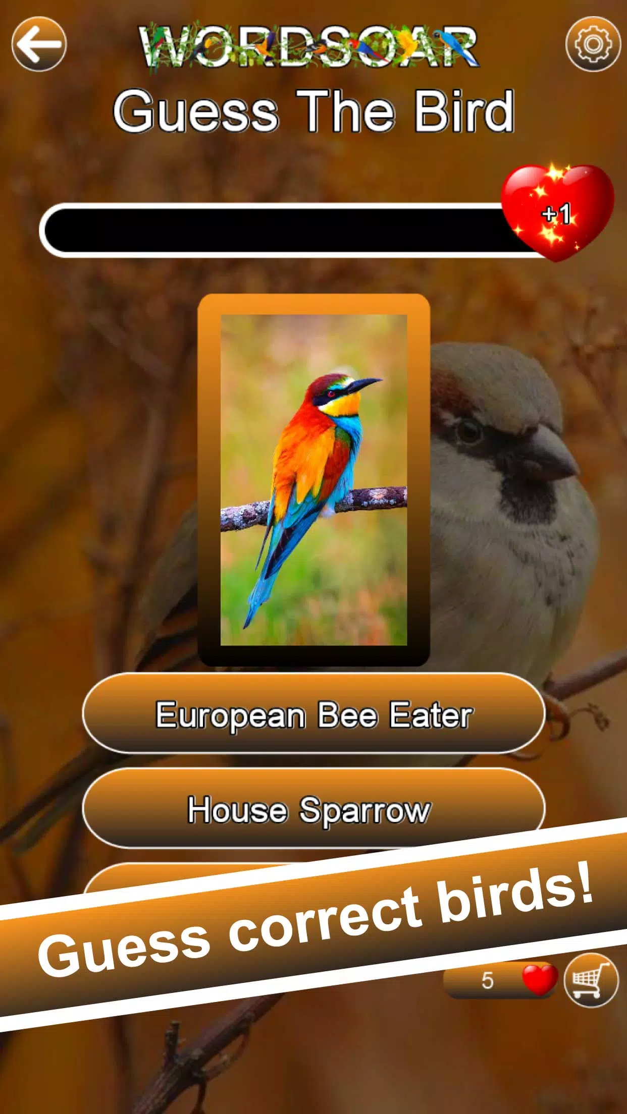 Word Soar Screenshot 5