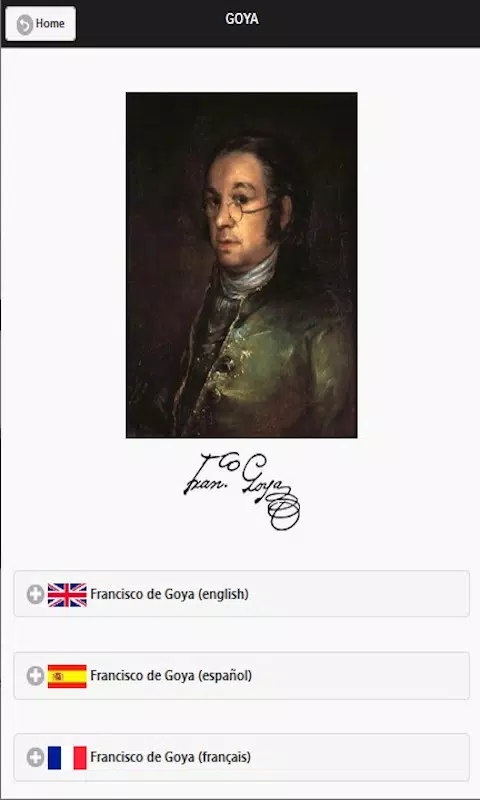 Goya Screenshot 3