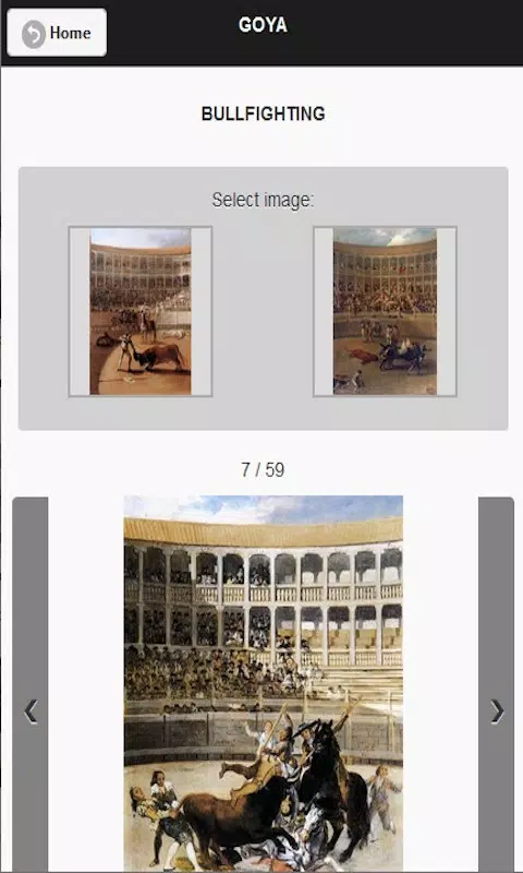 Goya Screenshot 8