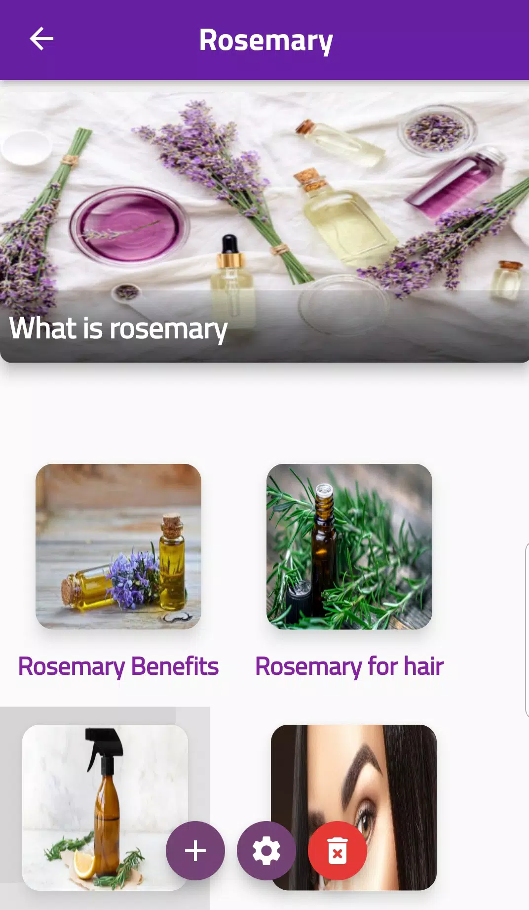 Rosemary Screenshot 1