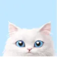 CatGat APK